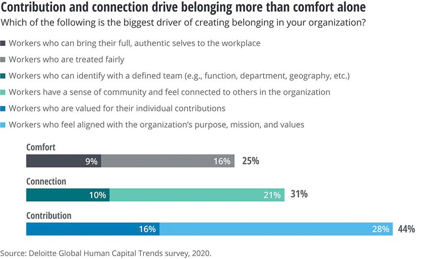 Contribution and connection drive belonging more than comfort alone
