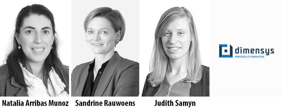 Natalia Arribas Munoz, Sandrine Rauwoens and Judith Samyn - Dimensys