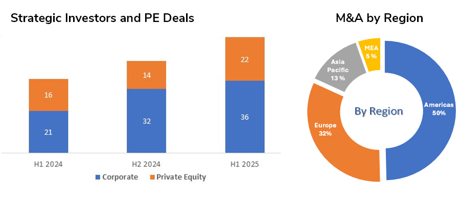Strategic Investors and PE Deals