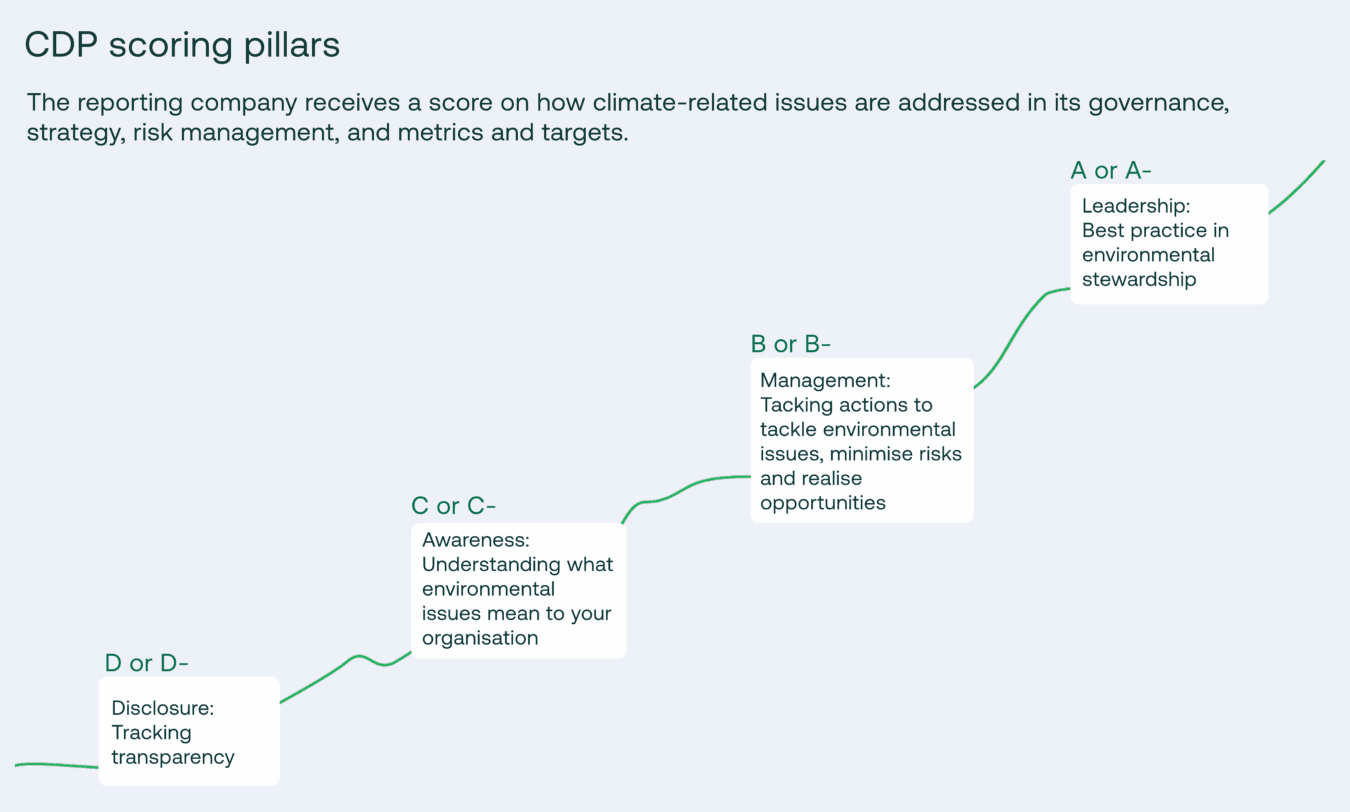 CDP Scoring Pillars