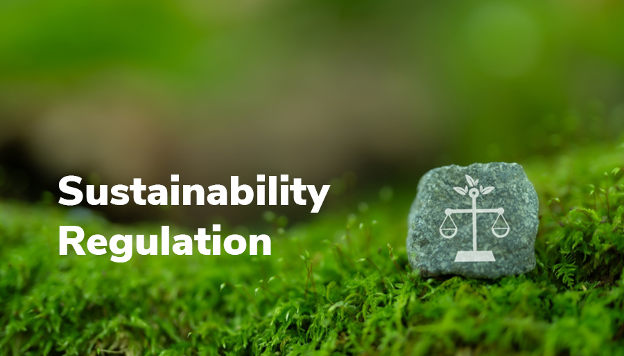 Early movers in sustainability regulation lead the way