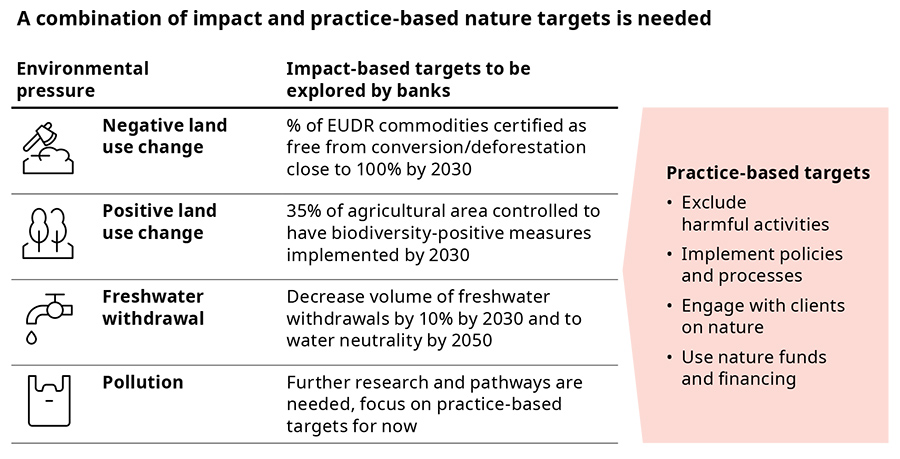 A combination of impact and practice-based nature targets is needed