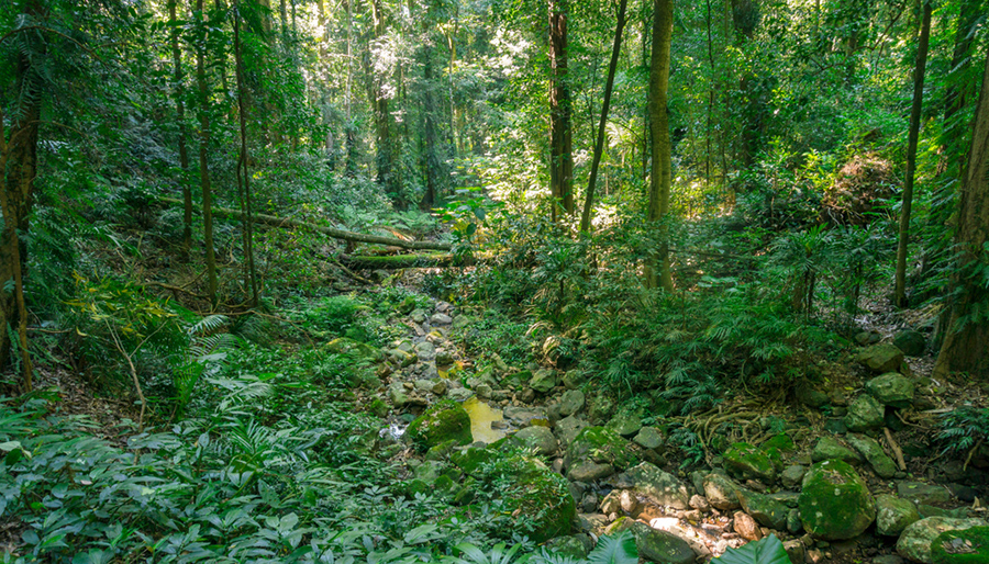 Why biodiversity still lags in the Dutch financial services sector Why biodiversity still lags in the Dutch financial services sector