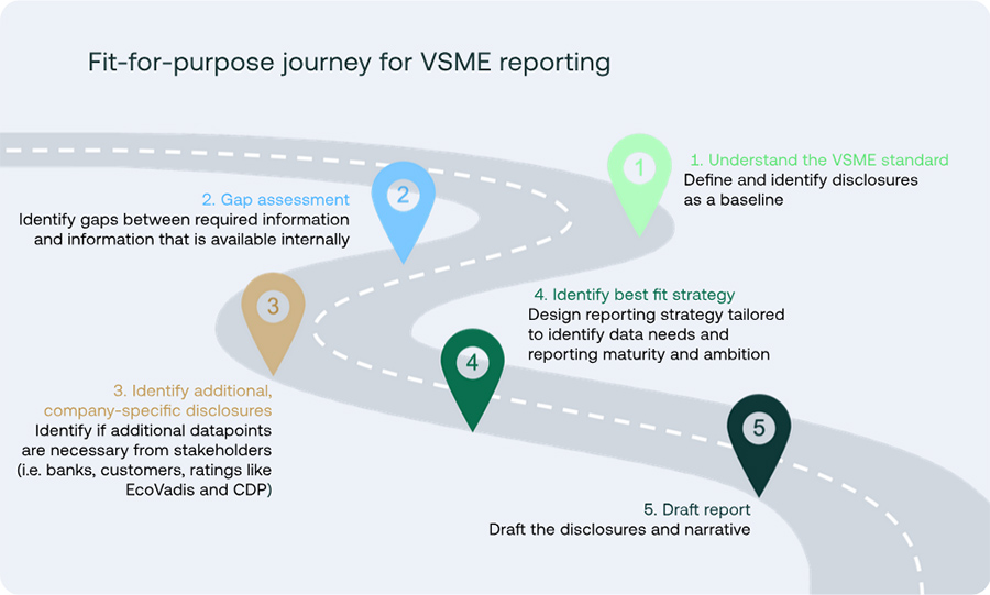5-step VSME journey 5-step VSME journey
