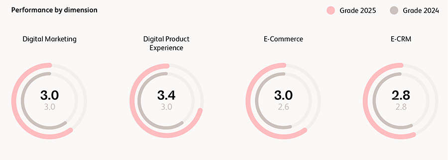 Performance by dimension