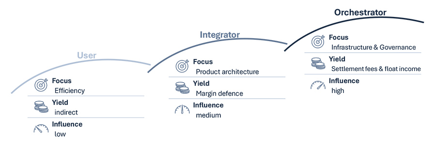 Strategic roles in Stablecoin ecosystem