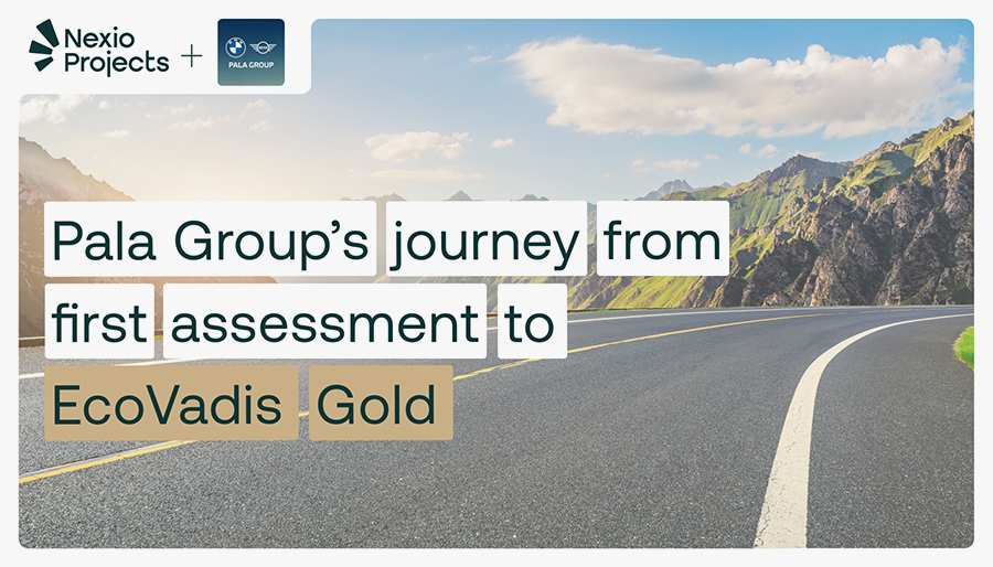 Pala Group’s journey from assessment to EcoVadis Gold: Support from Nexio Projects