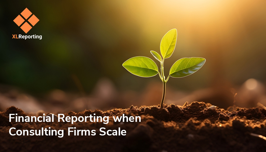 When consulting firms scale: Meeting the demands of financial insights and reporting