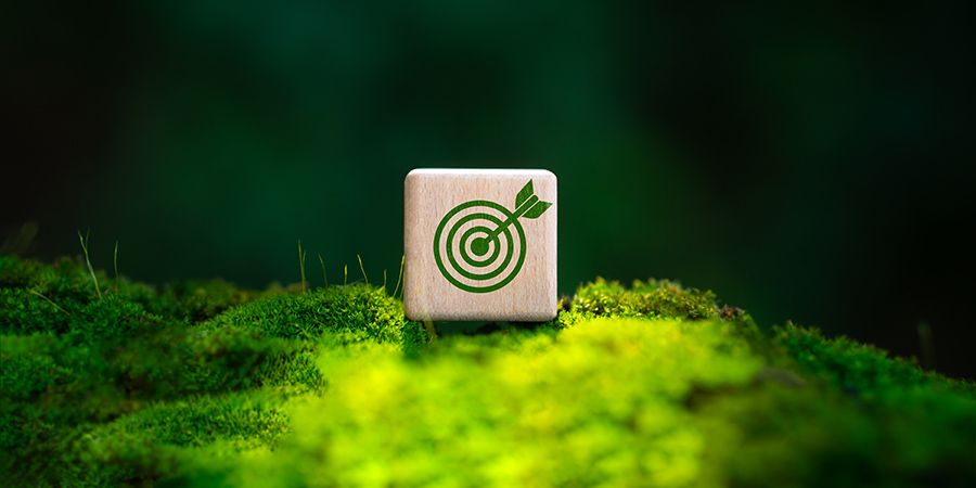 Sourcing Champions ranks among the top 1% of companies worldwide for sustainability performance