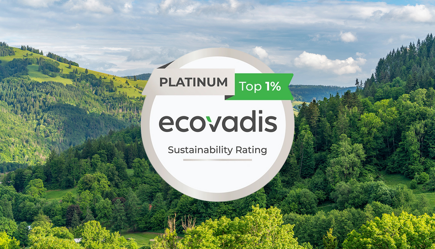 Climbing the EcoVadis ladder: What it takes to reach the top 1%