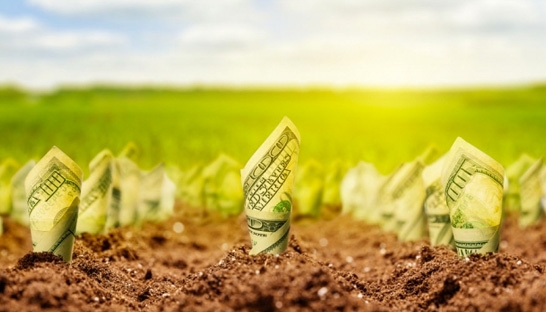 Why growing companies should embrace zero-basing