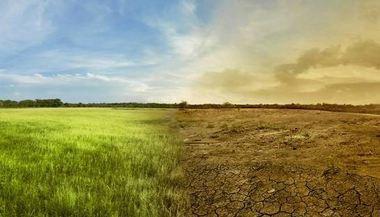Climate change is now the globe’s top extreme risk