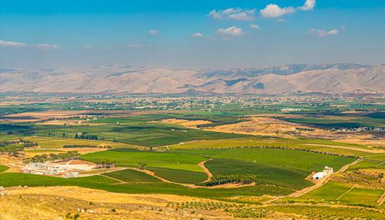 Lebanon follows McKinsey advice and legalises cannabis farming