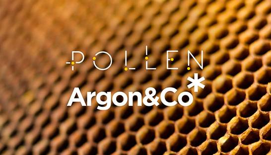 Pollen Consulting Group joins international player Argon & Co