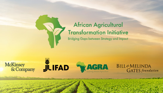 McKinsey backs new agriculture and food initiative in Africa