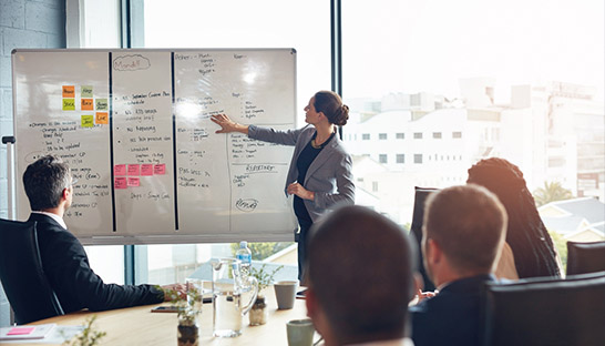 Project One helps FMCG player to improve PMO capabilities
