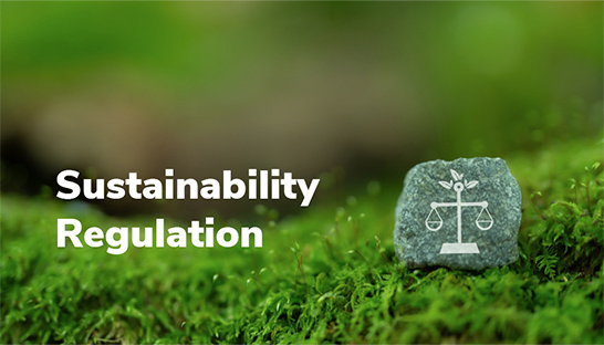Early movers in sustainability regulation lead the way