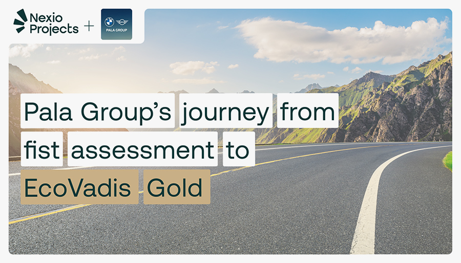 Pala Group’s journey from assessment to EcoVadis Gold: Support from Nexio Projects