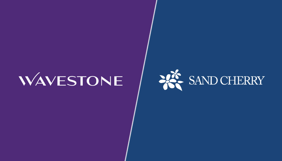 Wavestone buys Denver-based transformation consultancy Sand Cherry