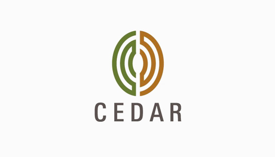 Consulting firm in Europe: Cedar Management Consulting