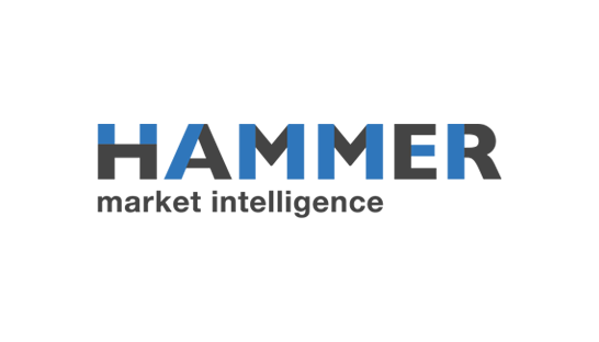 Consulting firm in Europe: Hammer