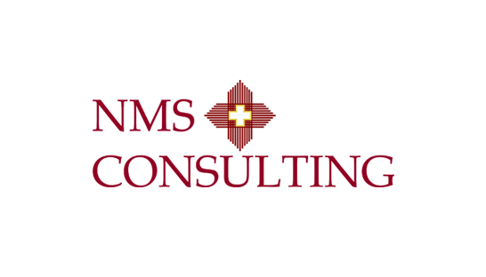 Consulting firm in Europe: NMS Consulting